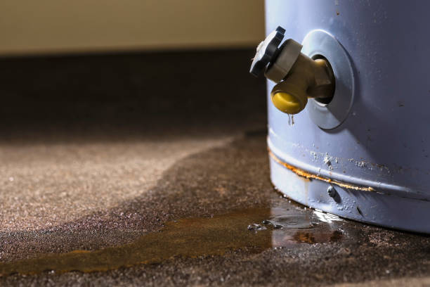 Best Sewage cleanup and water damage restoration  in San Miguel, CA
