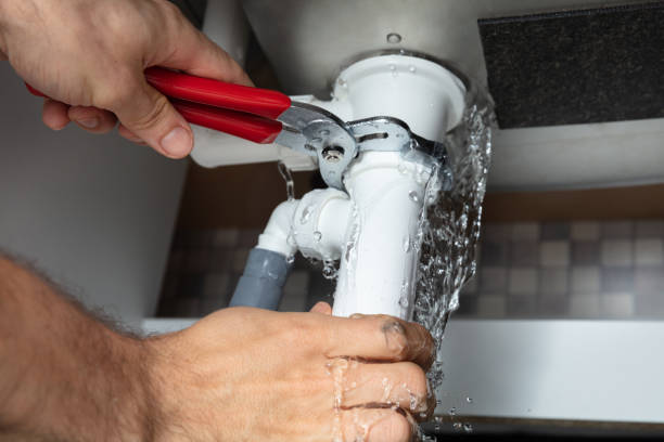 Best Professional water damage repair  in San Miguel, CA