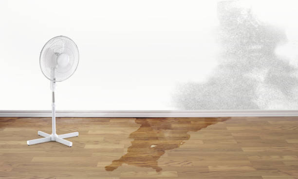 Best Commercial water damage restoration  in San Miguel, CA