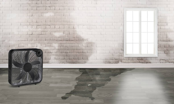 Local water damage restoration in San Miguel, CA