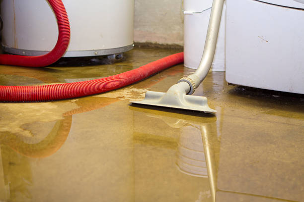 Reliable San Miguel, CA Water damage restoration Solutions