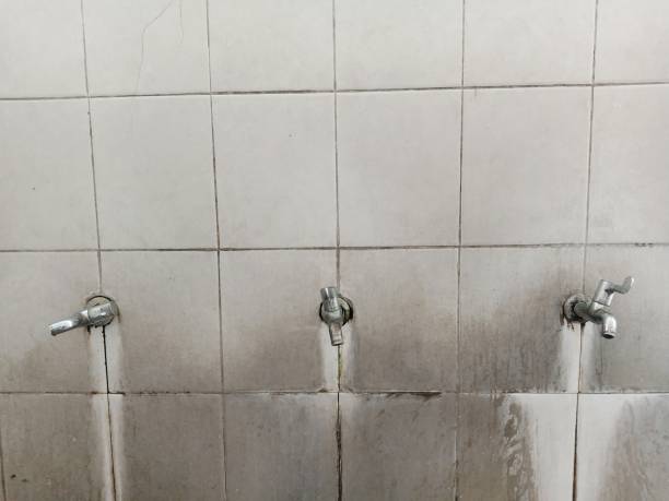 Best 24-hour water damage restoration  in San Miguel, CA