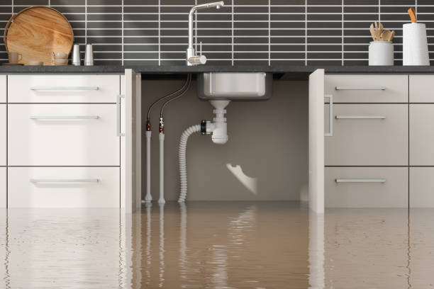  San Miguel, CA Water damage restoration Pros