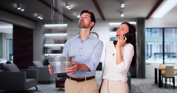 Best Basement water damage restoration  in San Miguel, CA