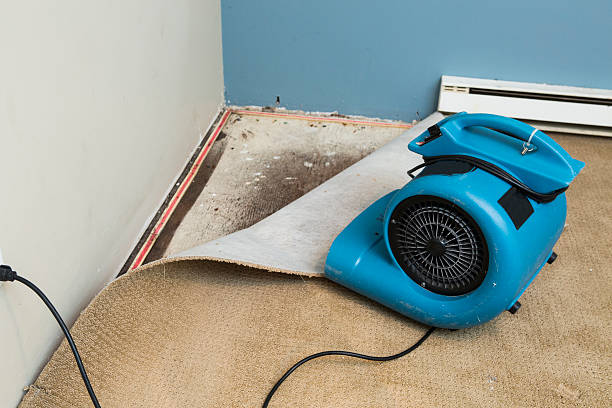 Best Basement water damage restoration  in San Miguel, CA