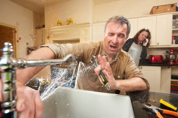 Best Professional water damage repair  in San Miguel, CA